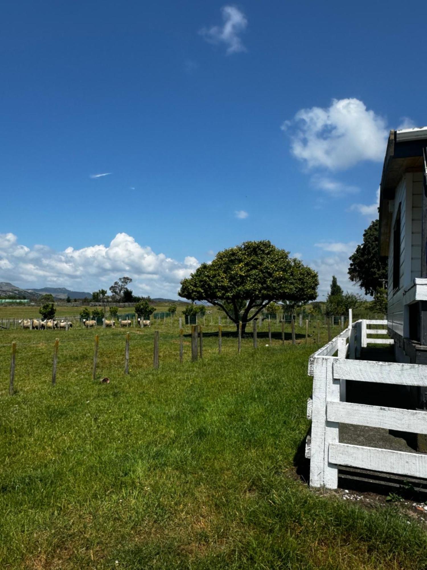Lockwood Country House Retreat Putorino Екстер'єр фото
